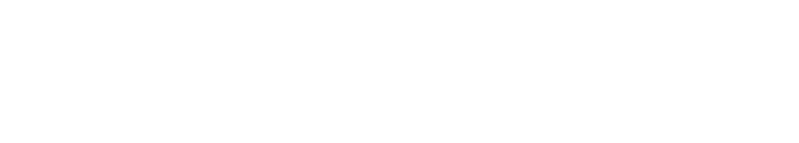 FuturePlus